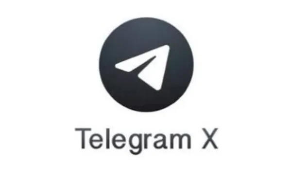 TelegramX示意图